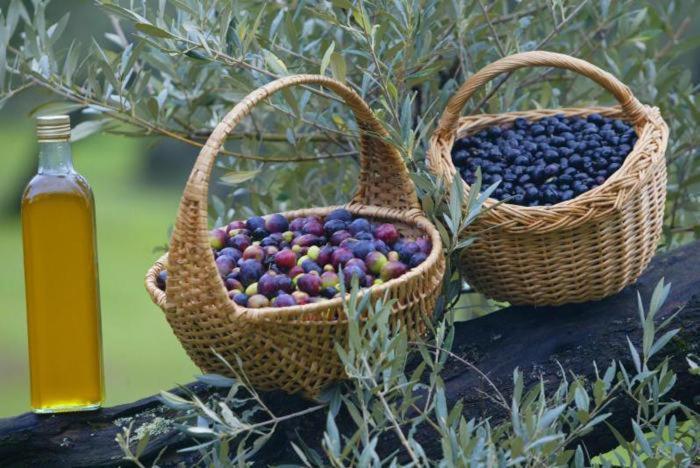 Le Lavandin Lorgues Εξωτερικό φωτογραφία